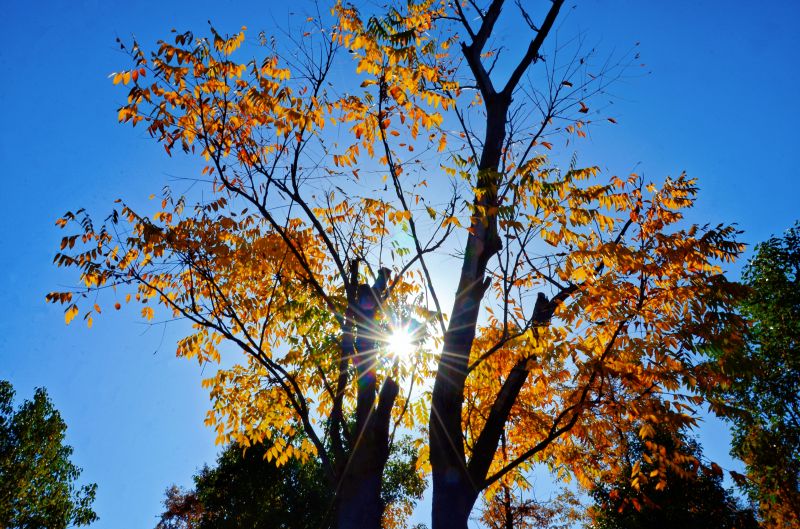 江西永新：禾河西路冬色如画